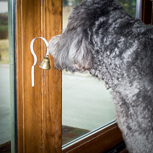 dog doorbell training